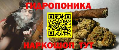 шишки Гусиноозёрск